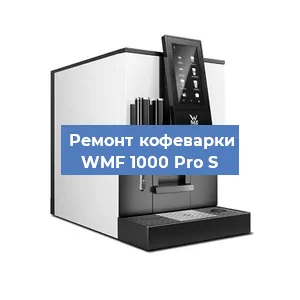 Чистка кофемашины WMF 1000 Pro S от накипи в Воронеже